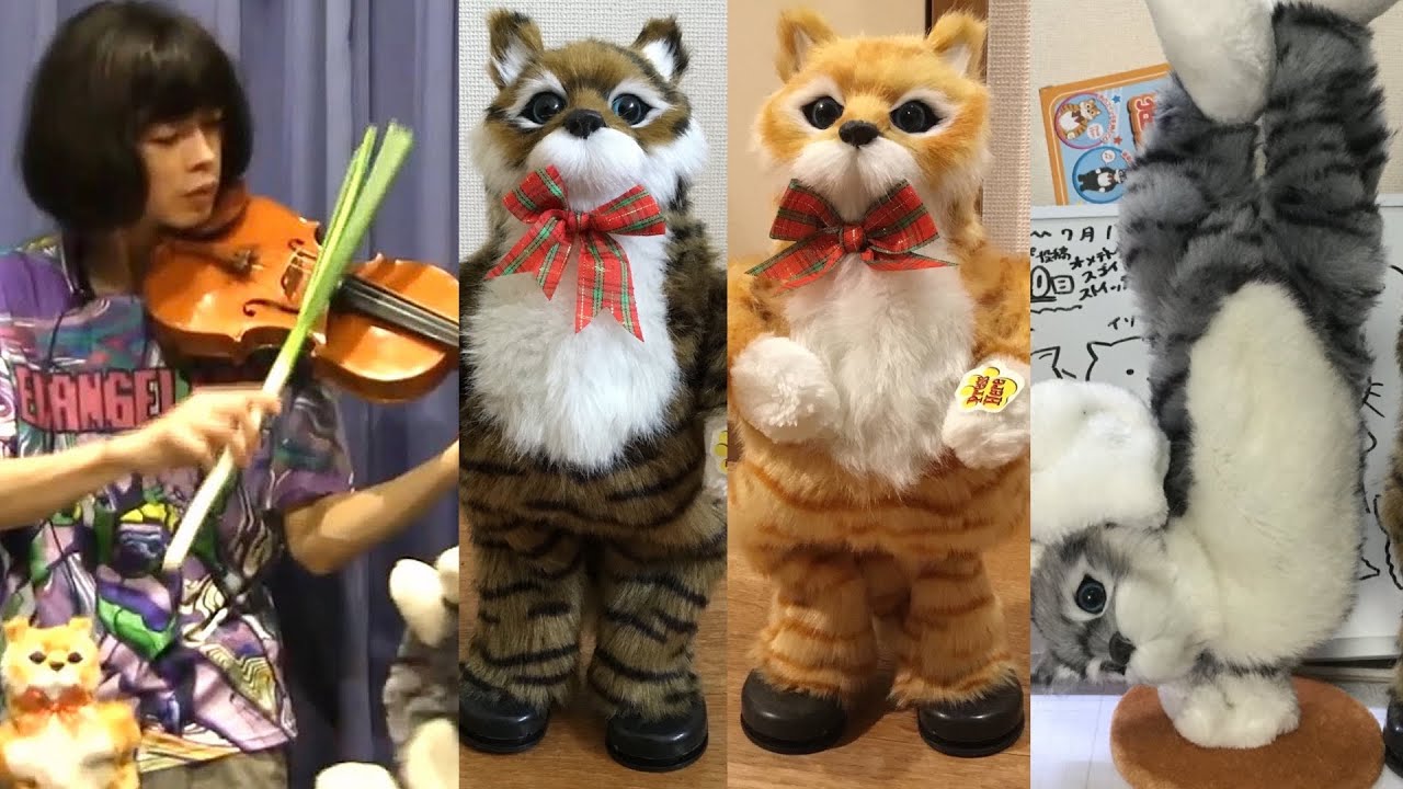 ながりょーさんがどんな人か分かる動画