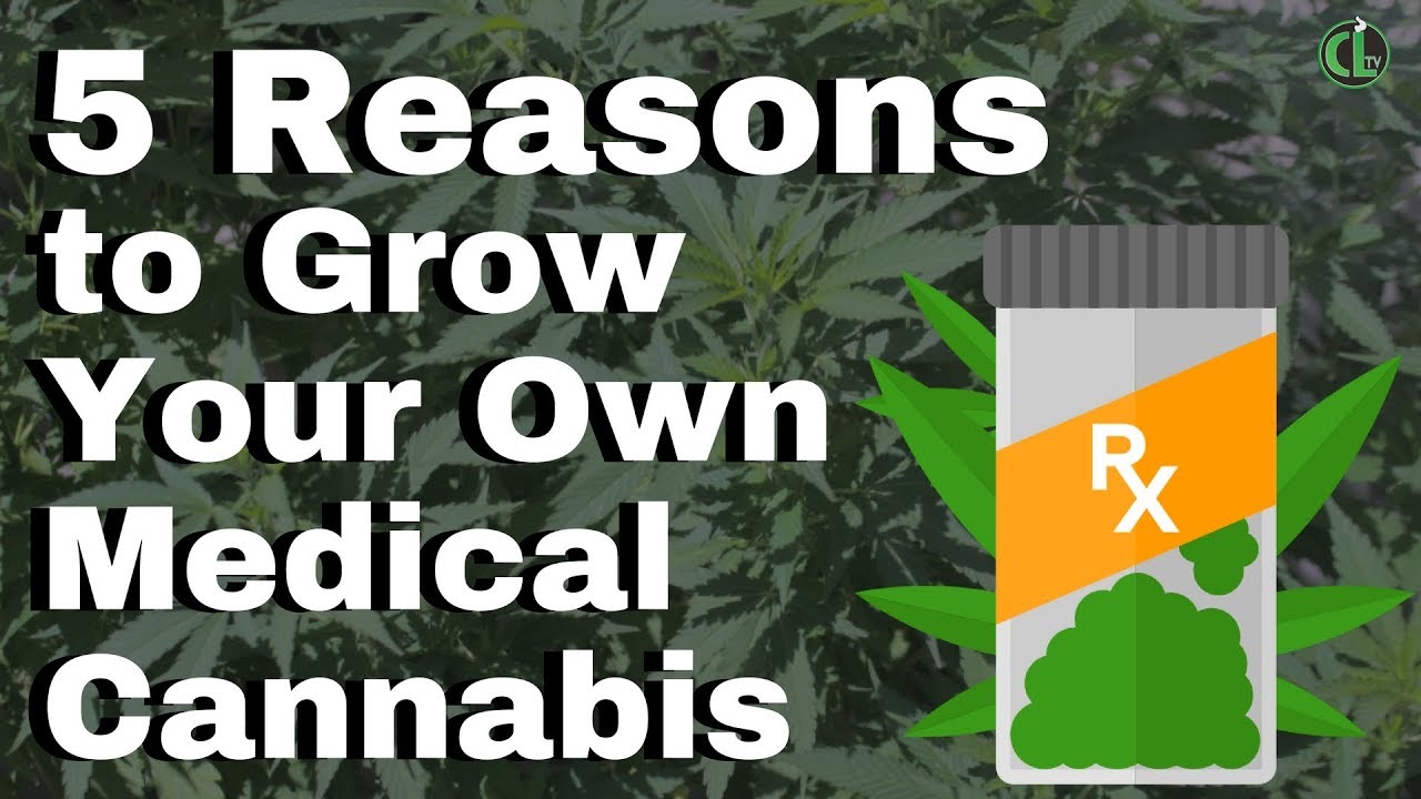 Why You Should Grow Your Own Cannabis