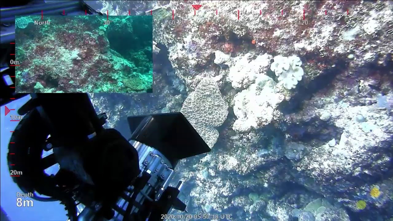 ROV SuBastian Dive 400 - Wishbone Reef, Australia - FK200930