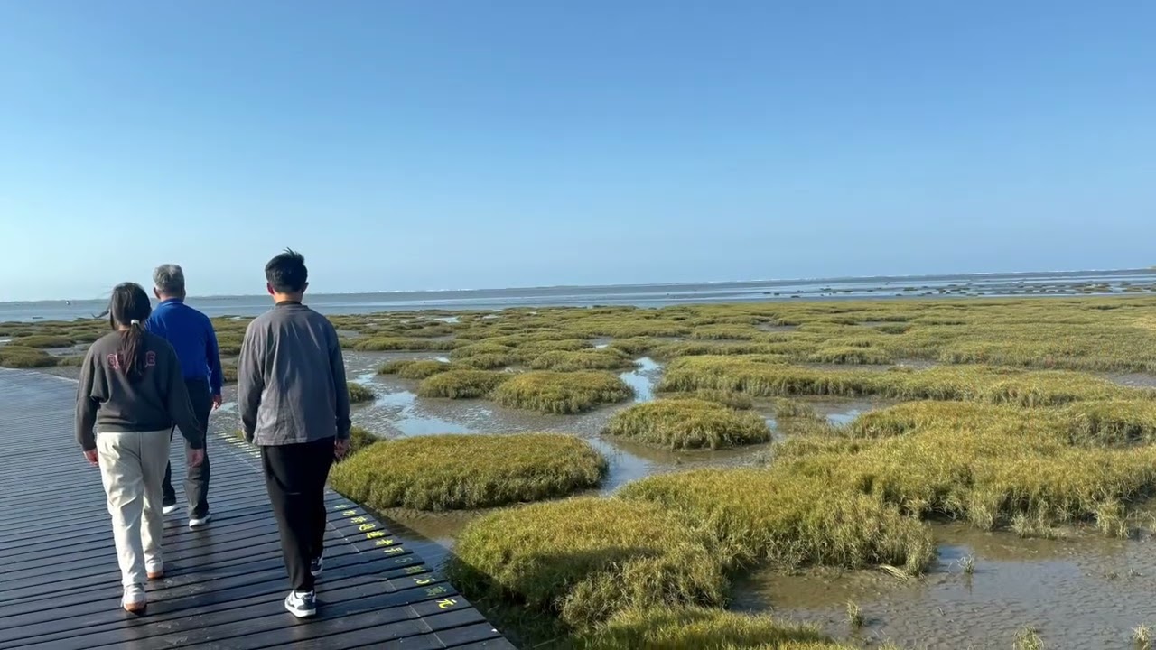 【生活】臺中市清水區∣高美溼地(高美野生動物保護區)