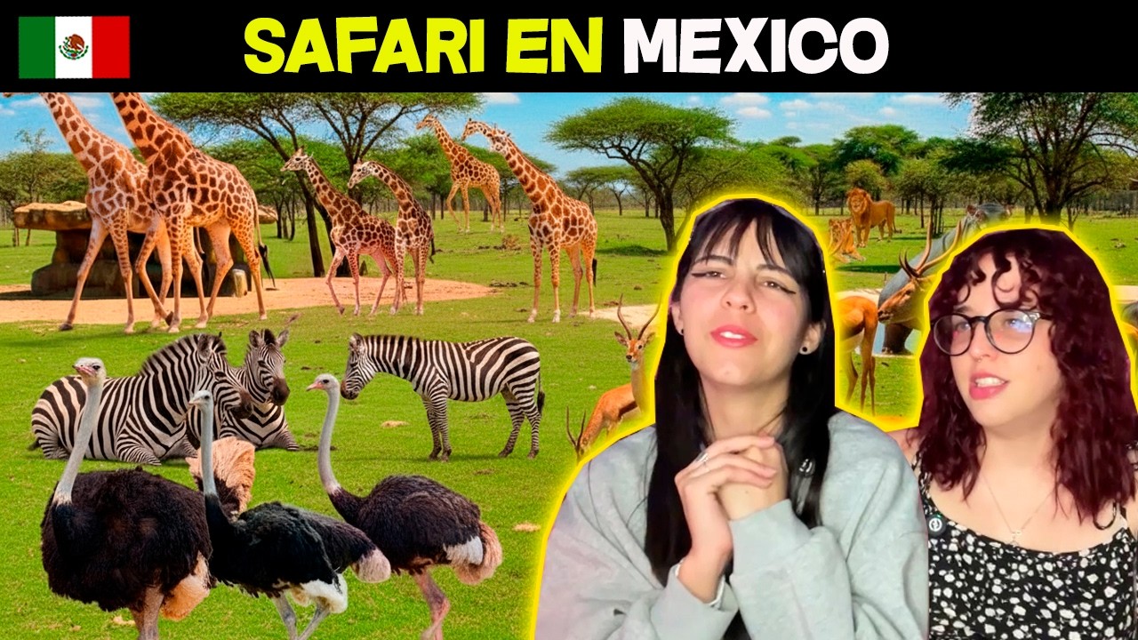 México Tiene ESTE Safari  - CUBANAS REACCIONAN