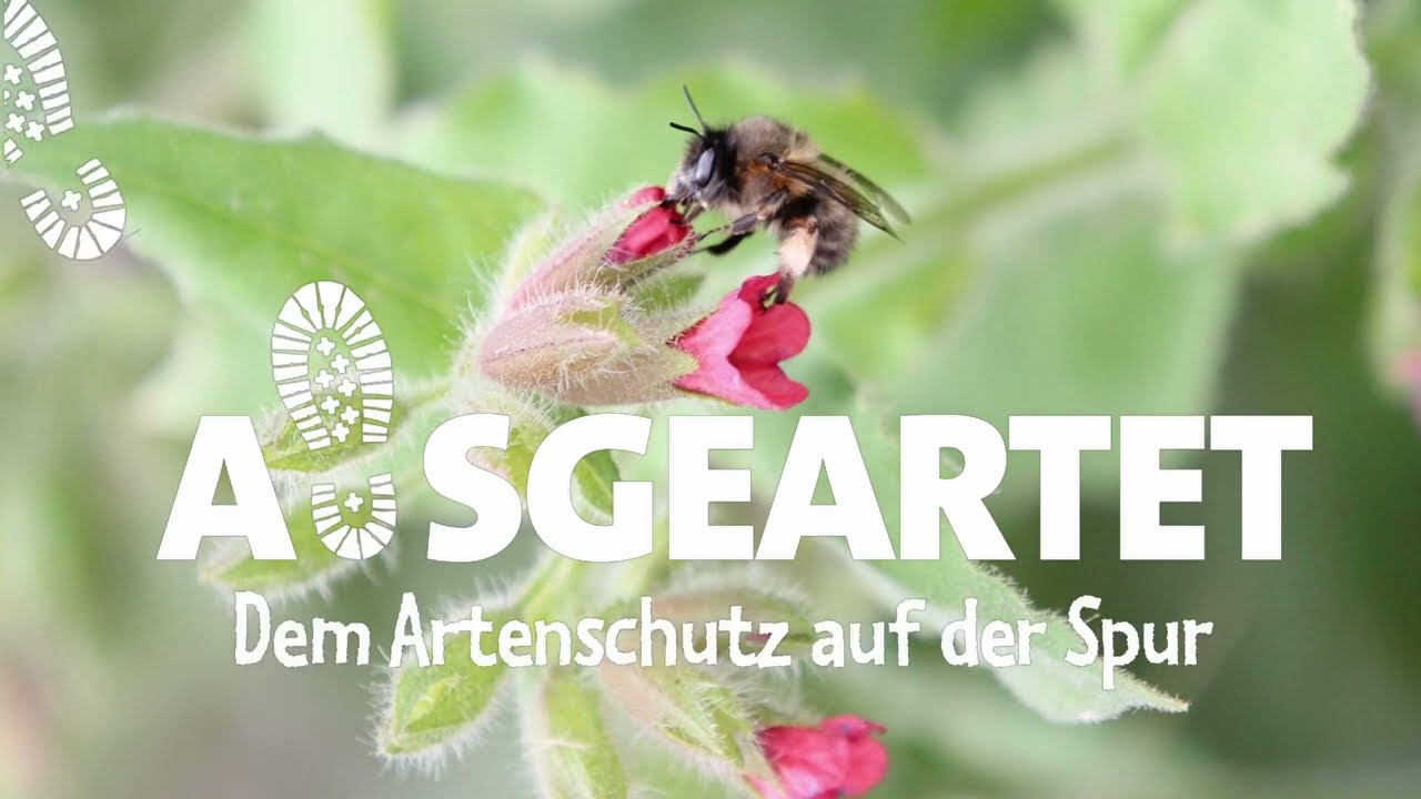 AUSGEARTET - Folge 15: Mit Thomas Günther auf den Spuren der Bienen
