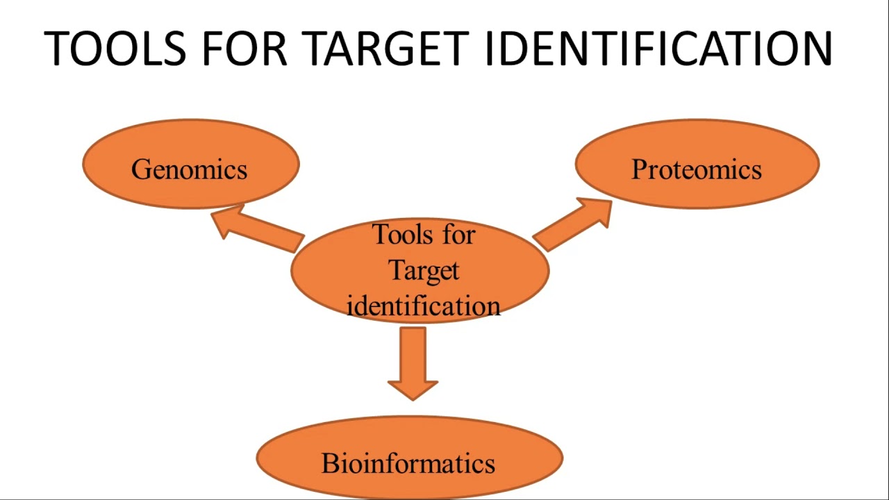 TARGET IDENTIFICATION AND TARGET VALIDATION