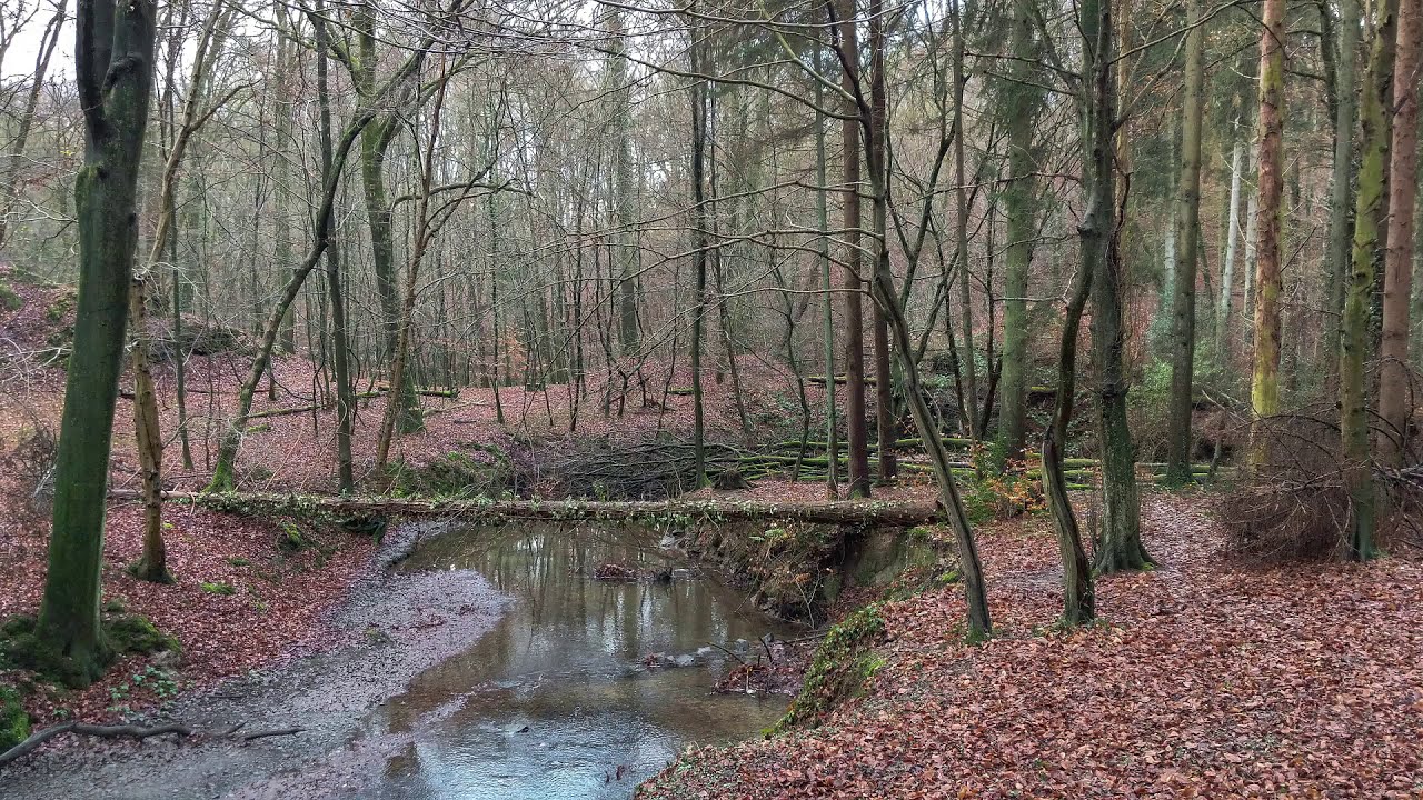 Wandern in Leichlingen