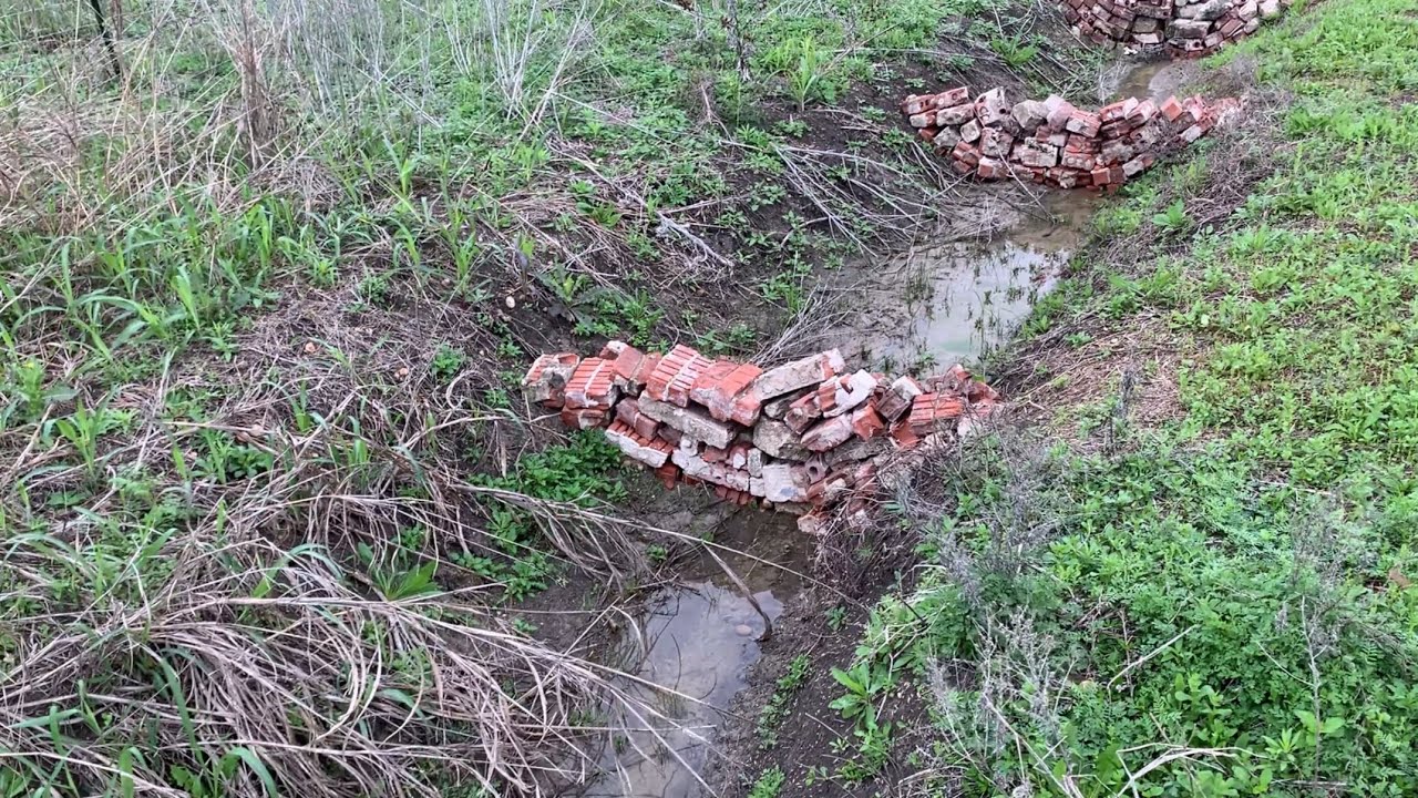 Checking the check dams after a rain - March 16, 2024