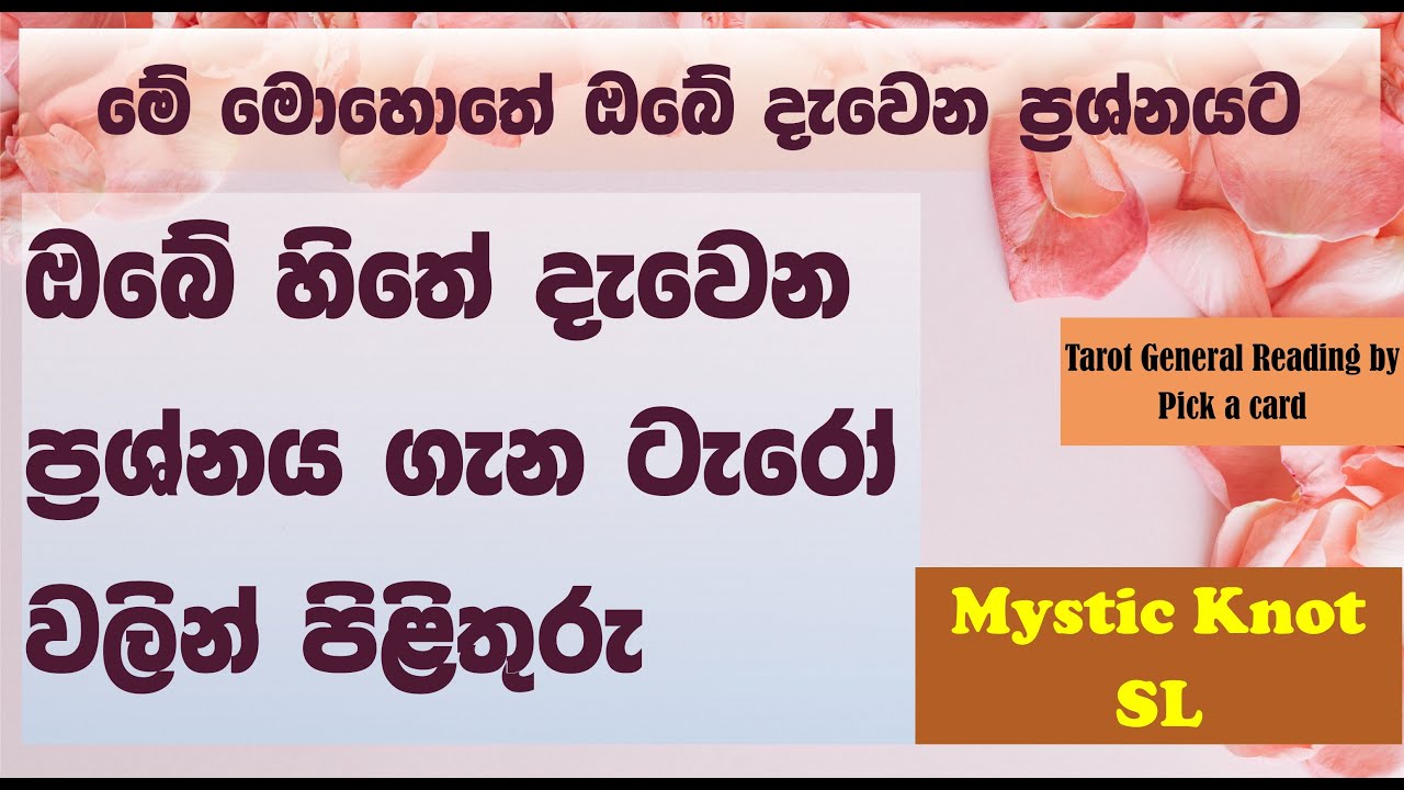 ඔයා දැන් ඉන්න ප්‍රශ්නයට දිව්‍යමය පිළිතුරු |General reading #tarot #generalreading #pickacard