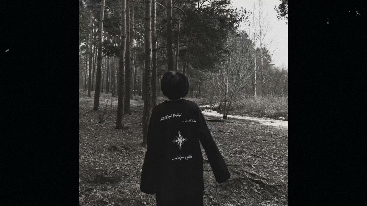 *free* bladee + sickboyrari + gunnr type beat - option