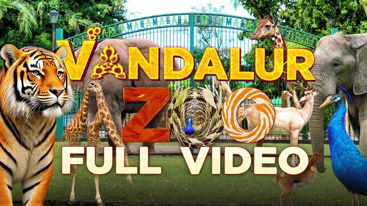 Vandalur zoo full tour 2026 | Chennai's biggest zoo experience | inside Vandalur zoo