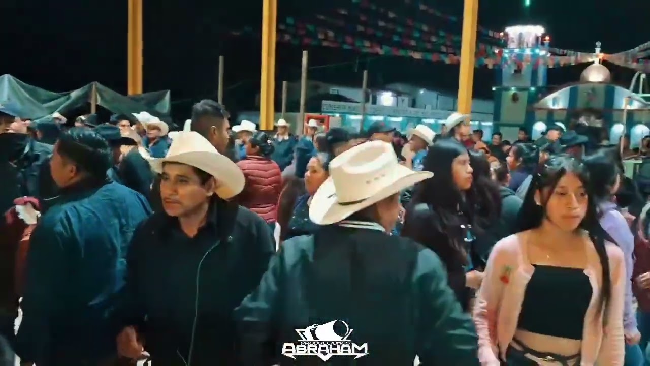 El Torito de la Sierra, El Son de los Viejitos | Guitarras de la Sierra | Ayotoxtla Guerrero 