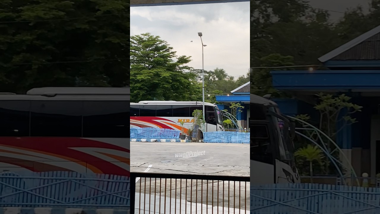 PEMAIN JALUR SELATAN YOGJA - SURABAYA MIRA EKONOMI #busekonomi #mira #busmania