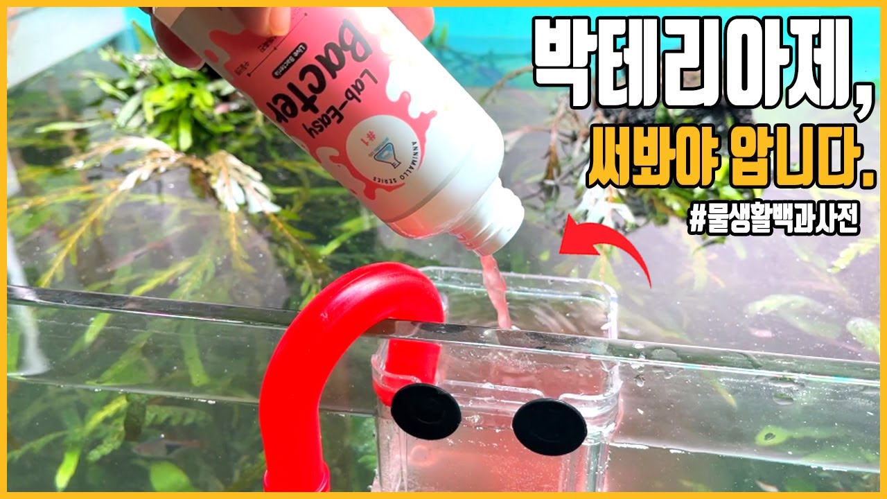 박테리아제, 물잡이에 효과가 없다구요? [#물생활백과사전 ]