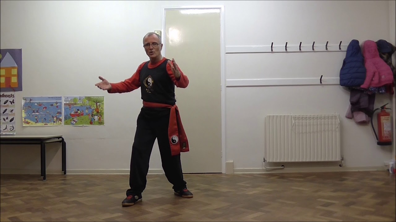 Lesson 16: Single Whip Unleashed. Li (Lee) Family Style T'ai Chi Ch'uan
