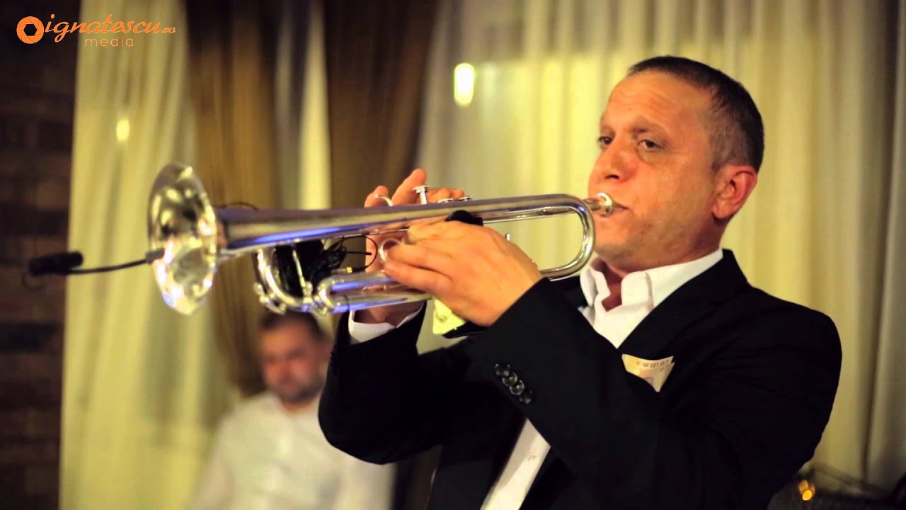 Formatia Clasic Band 2014   Dinu Croitor   by ignatescu media