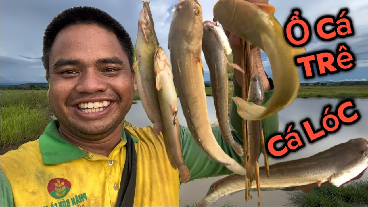 PHẦN 1 :CÂU CÁ,GIĂNG LƯỚI,QUĂNG CHÀI,CẮM CÂU ĐÊM TRONG RỪNG