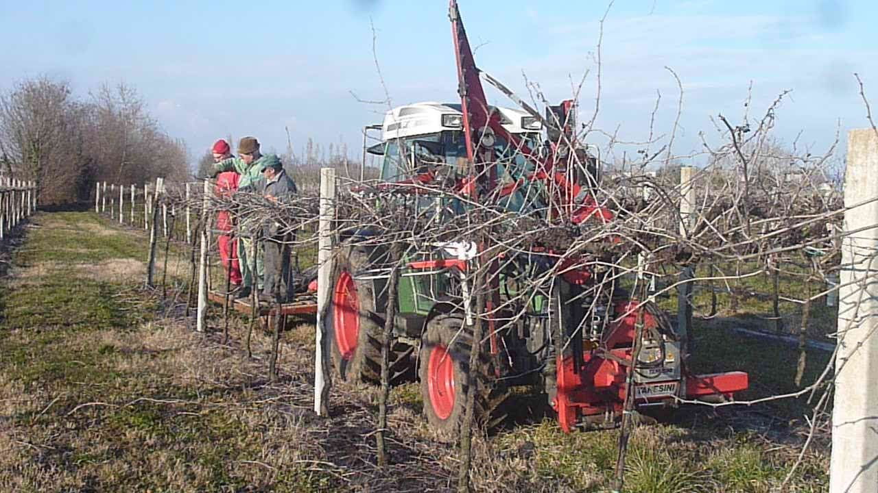 AGRIMAC POTATURA MECCANICA 2013 con FENDT 211P Vario TMS