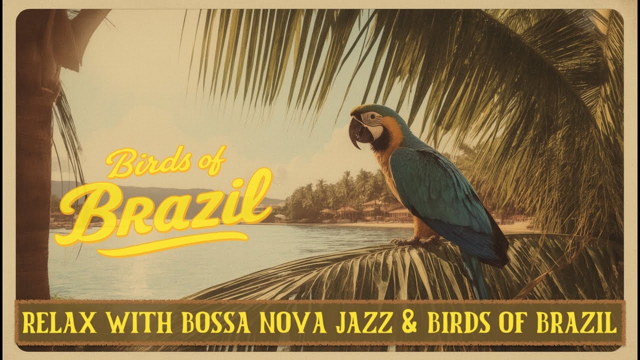 Calm Lo-Fi Bossa Nova Jazz &ndash; Lagoon View for Focus & Study | Birds of Brazil &ndash; Hyacinth Macaw