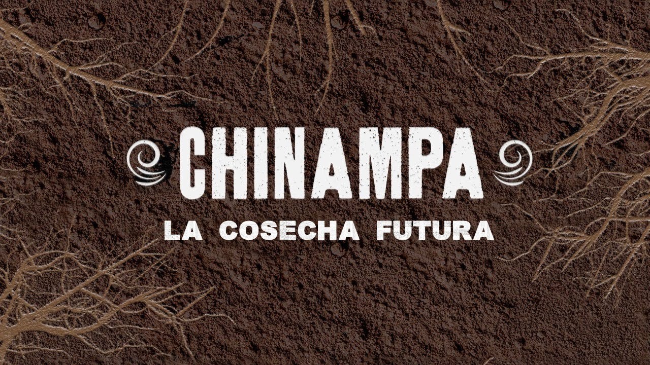 Chinampa | La cosecha futura