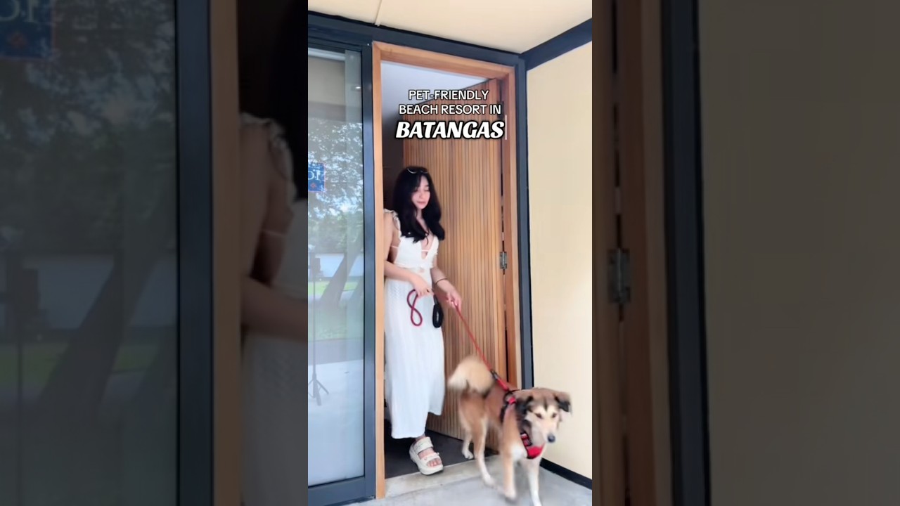 Pet-friendly beach resort in Laiya, Batangas