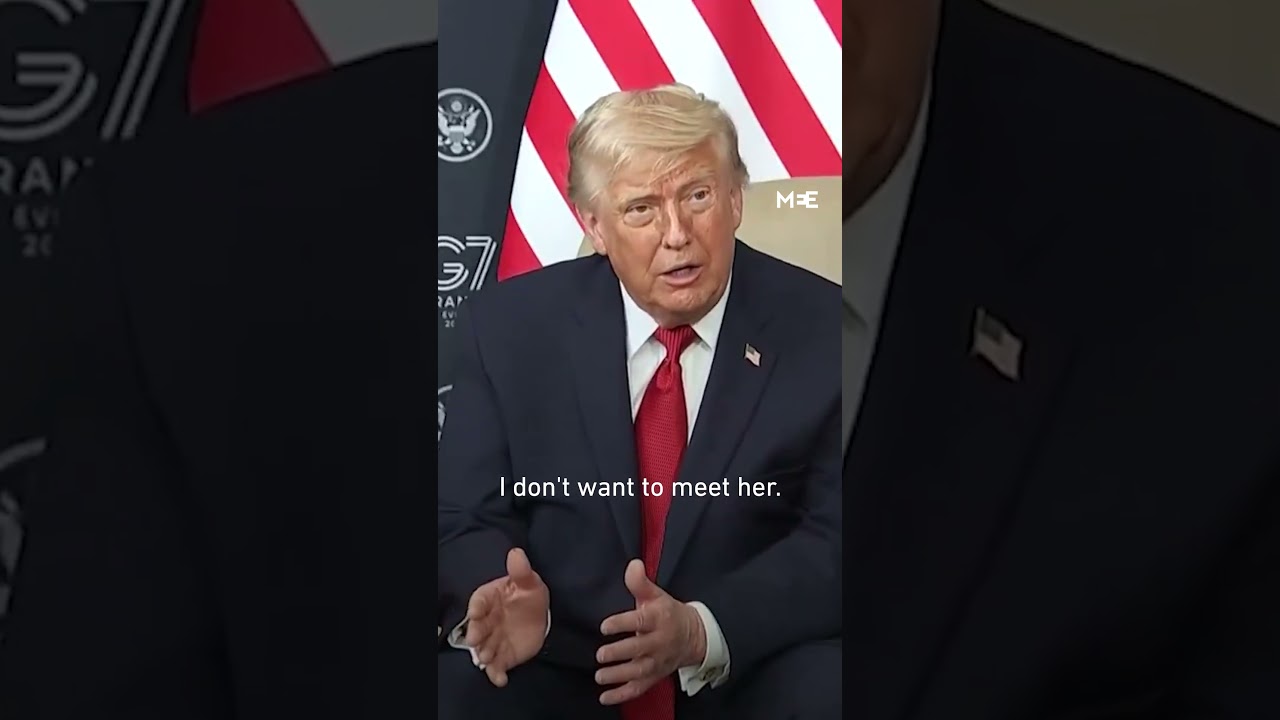 Trump says he and Egypt&rsquo;s Sisi 'fell in love' when they met during his 2016 campaign
