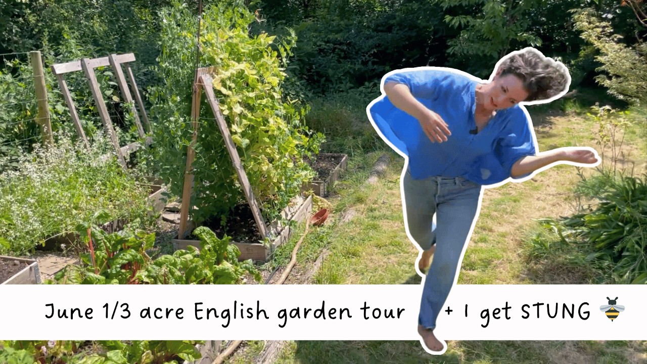 1/3 acre English garden tour in Summer + the bees STUNG me while we filmed! 🐝