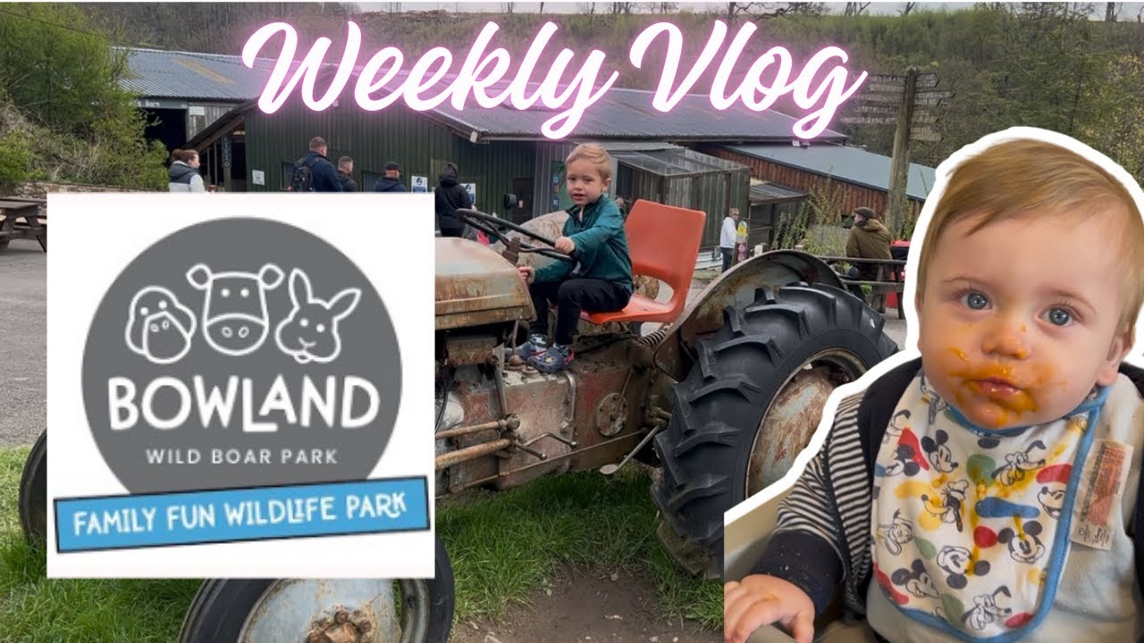 Weekly Vlog- Travel news ✈️, Bowland Wild Boar Park and Easter 🐣