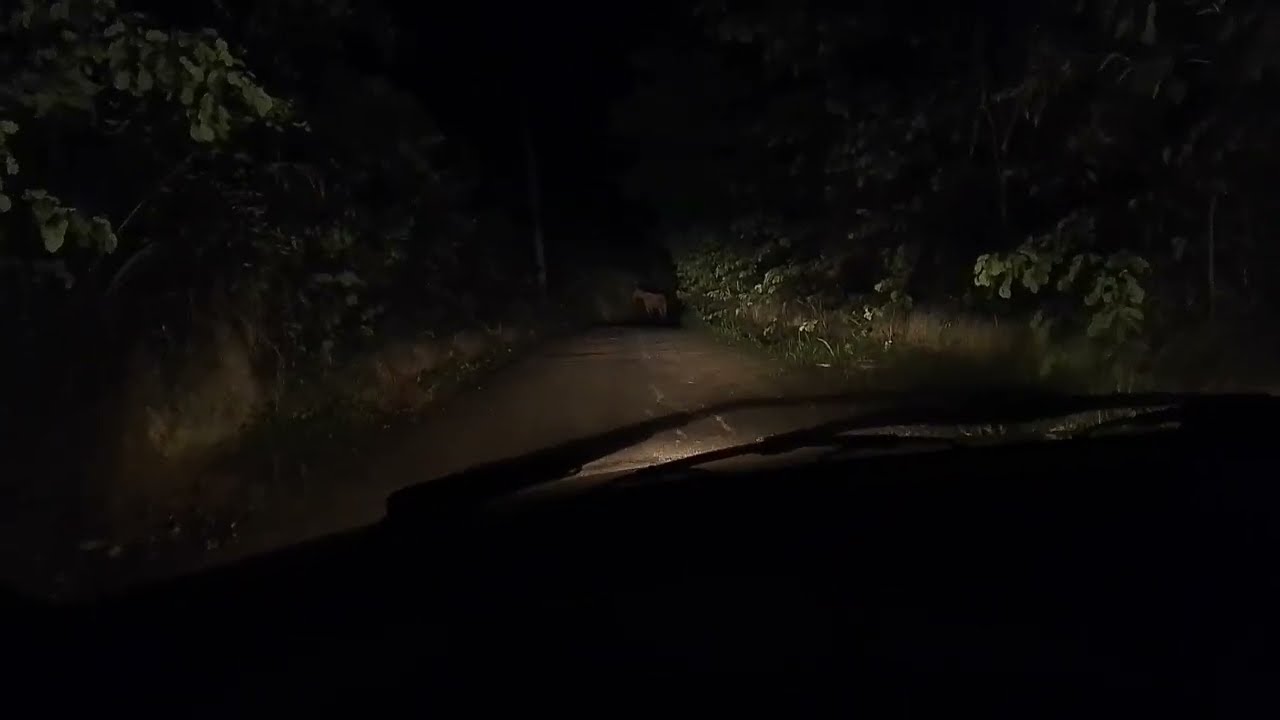 Fui sozinho na estrada assombrada de madrugada e deu ruim