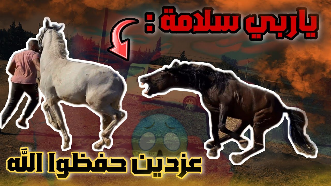 عزدين حفظوا الله وشوفوا إسم الحقيقي لخوا عز دين وكيفاش ولاو من بعد غياب 😱 طويل /جمال/قوة/إثارة...
