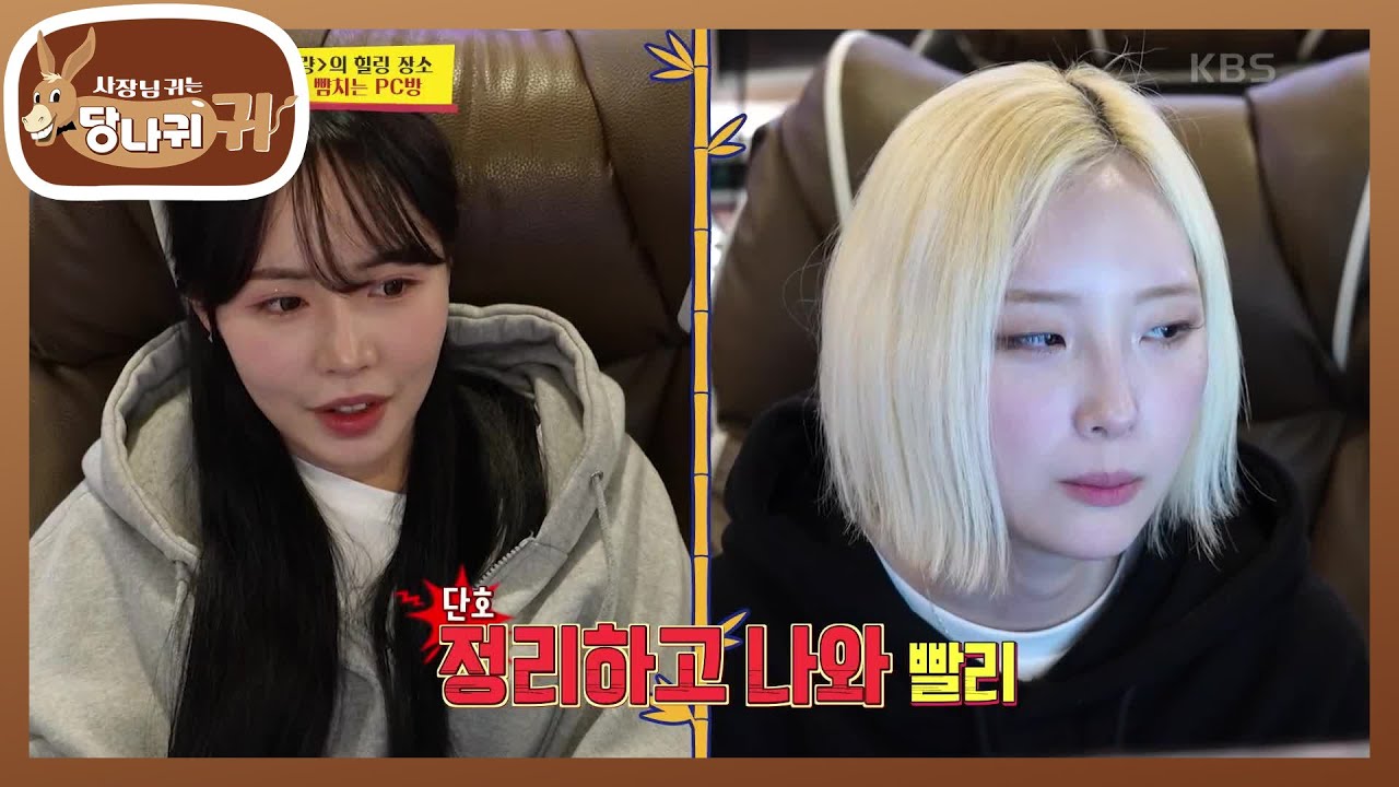 게임 한 판 마치고 식사 시작! 팀 박기량의 PC방 먹방😋  [사장님 귀는 당나귀 귀/Boss in the Mirror] | KBS 240225 방송