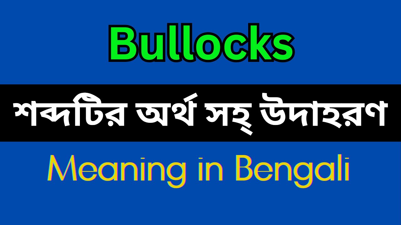 Bullocks Meaning in Bengali/Bullocks Mane Ki, Bullocks Explain in Bengali