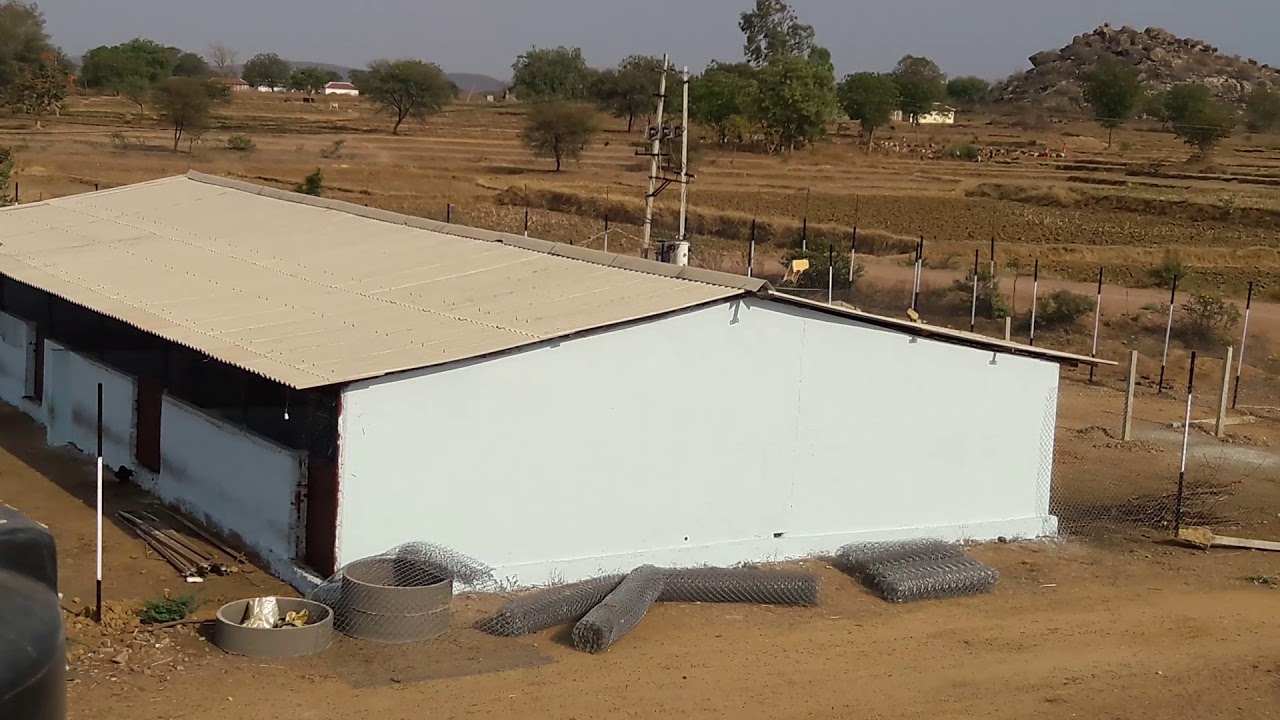 MS Agro farm