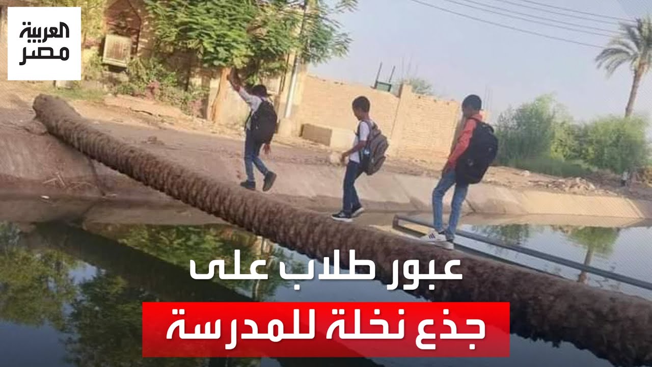 عبور طلاب ترعة على جذع نخلة في قنا يثير الجدل.. ووزارتا التعليم والري تتدخلان: هناك كوبري قريب