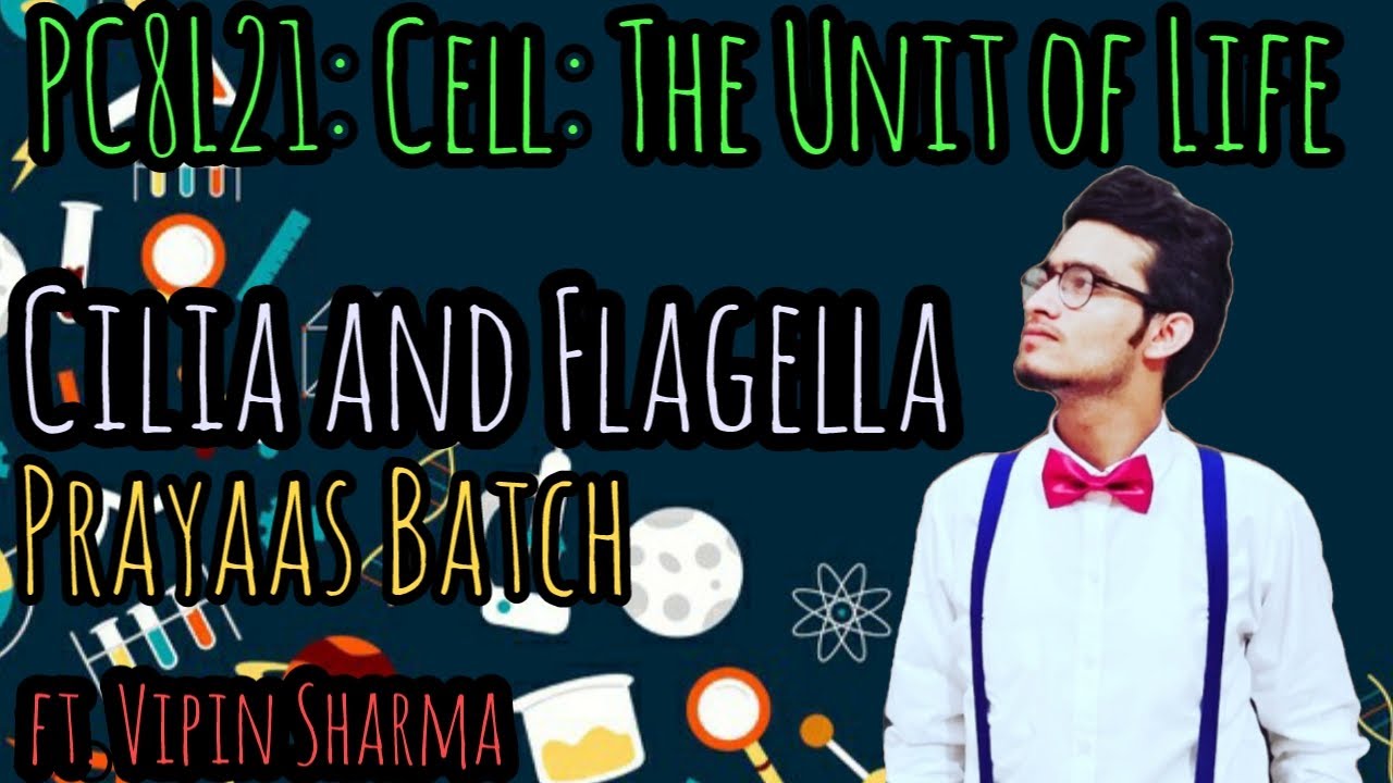 PC8L21: Structure of Cilia and Flagella in Detail | Functions of Cilia & Flagella | 9+2 Arrangement