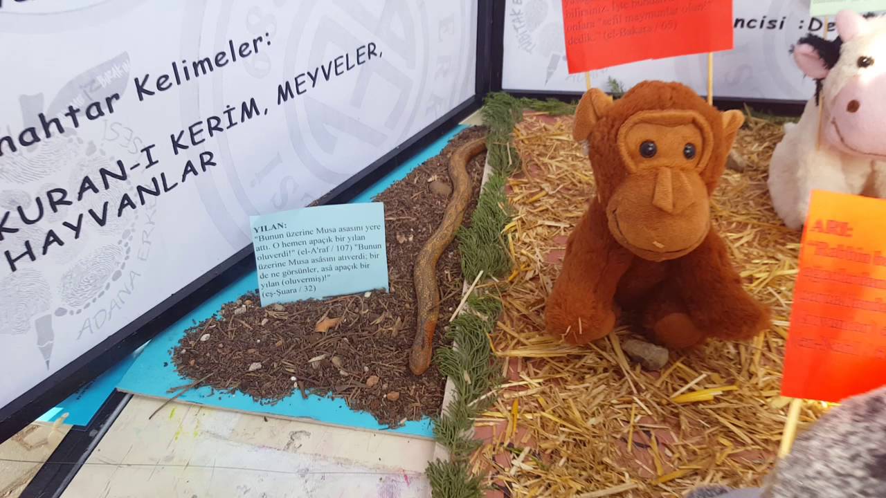 Din Kültürü ve Ahlak Bilgisi Tübitak Bilim Fuarı Projesi