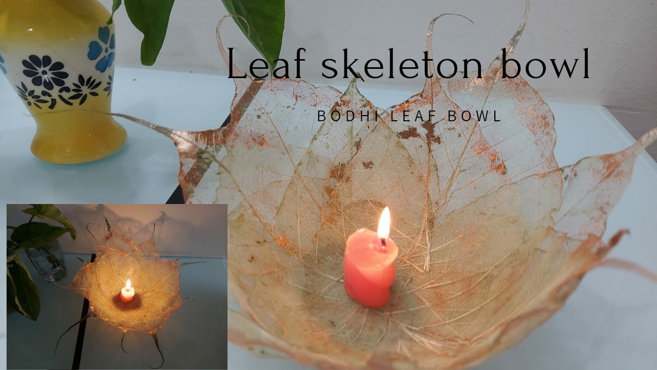 DIY leaf skeleton bowl| Buddha leaf bowl| peepal leaf skeleton bowl