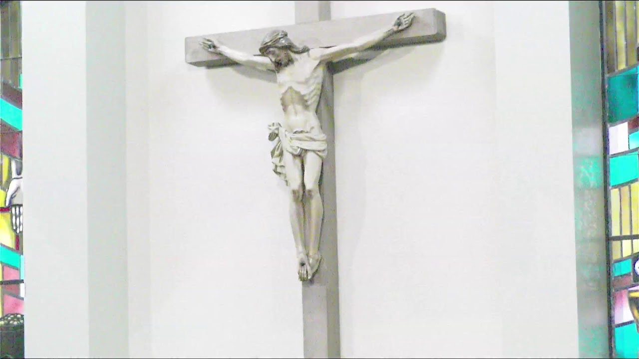 St. Luke Catholic Church Live Stream