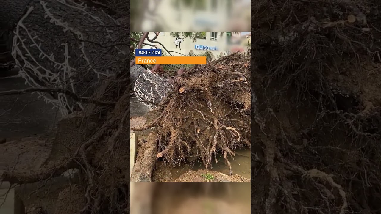 🚨🌪️ Antibes ravaged by powerful gusts! Extreme Weather Alert: France's Battle Against Natural Force