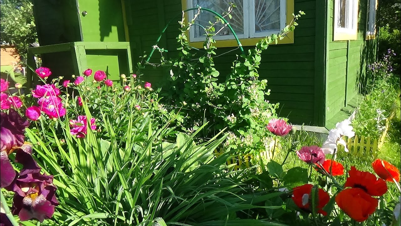 Обзор дачи в июне 2022г Кострома