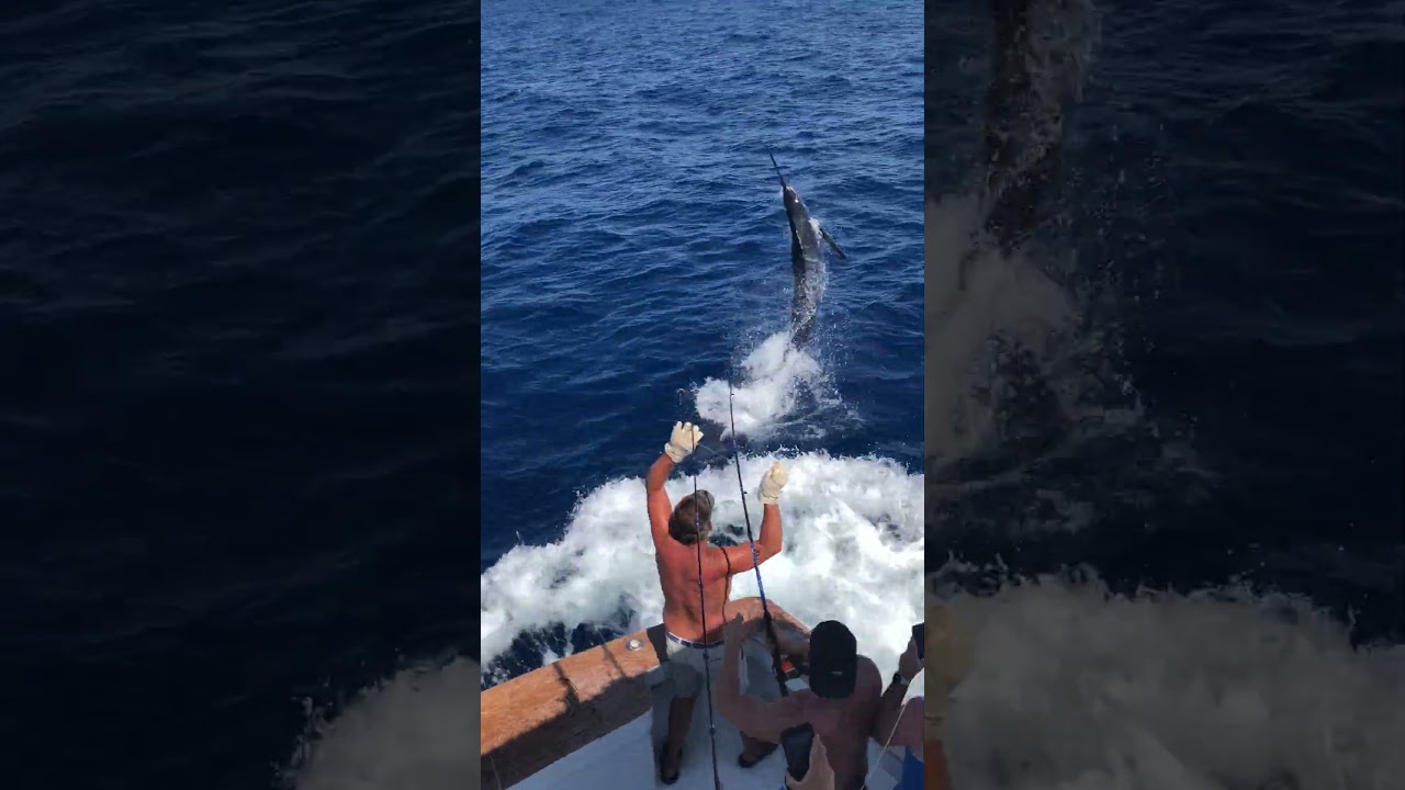 Big Blue Marlin - End Game - Oregon Inlet, Outer Banks 
