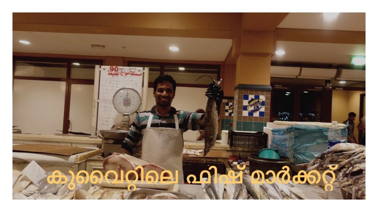 FISH MARKET ALKOUT KUWAIT||MALAYALAM VLOG||കുവൈറ്റിലെ ഫിഷ് മാർക്കറ്റ്
