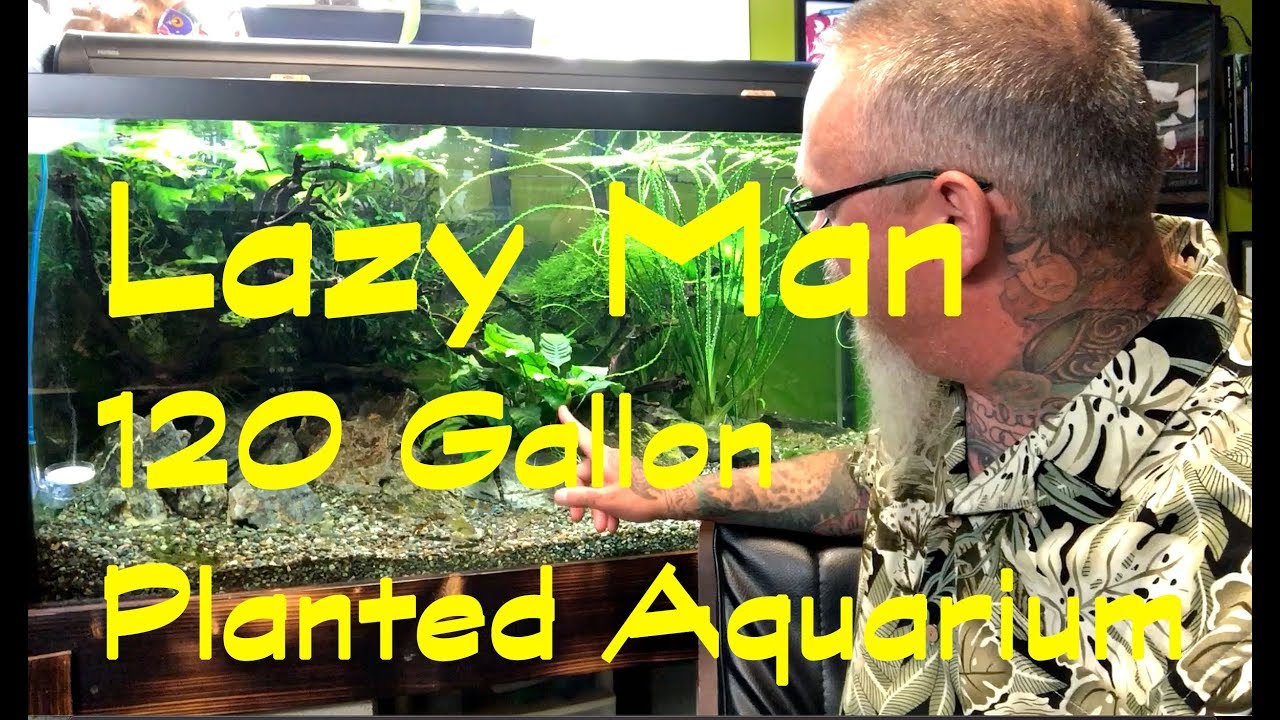 The elusive 120 gallon planted aquarium