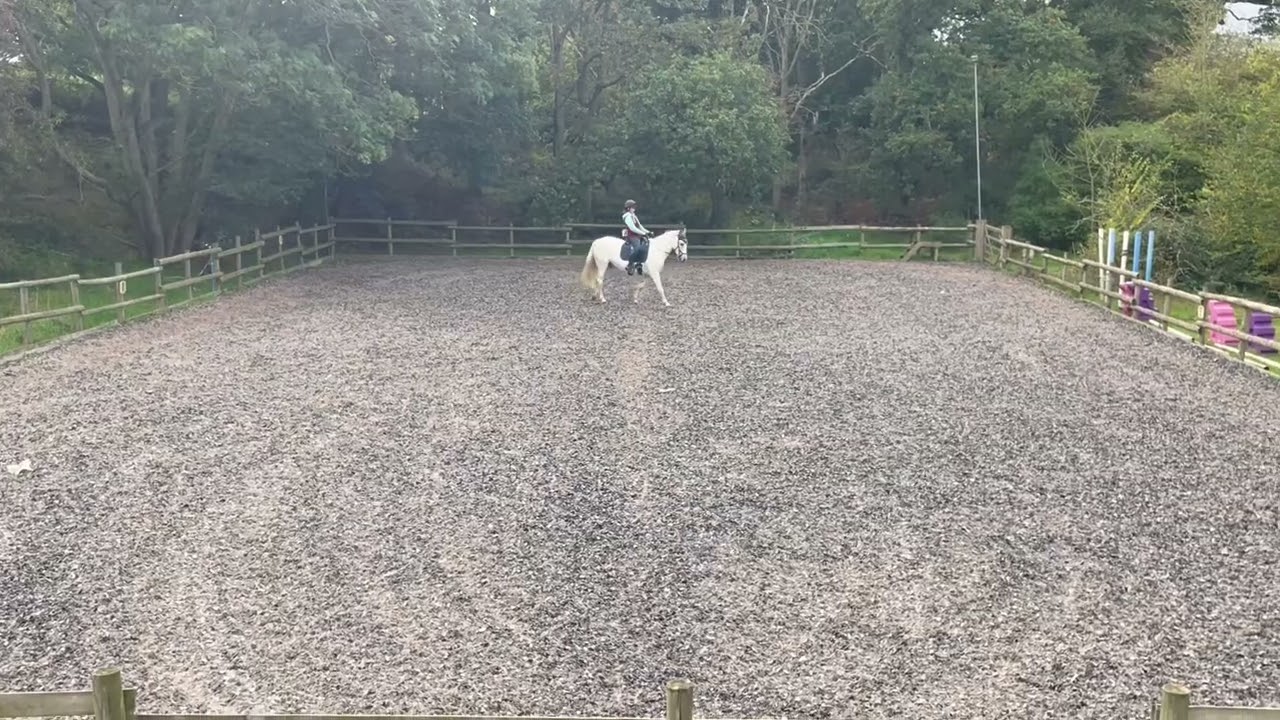 Grace Calvert-Whitehead and Leo IV eriders BRC league novice 3b for Gipping riding society October