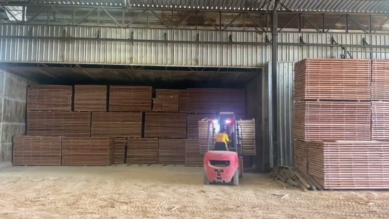 okoume sawn timber is out of kiln dried chamber