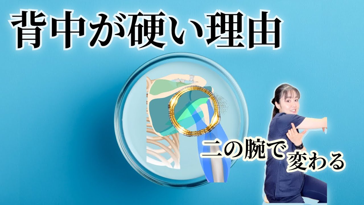 背中が緩まない理由は「二の腕が硬いから」です｜215