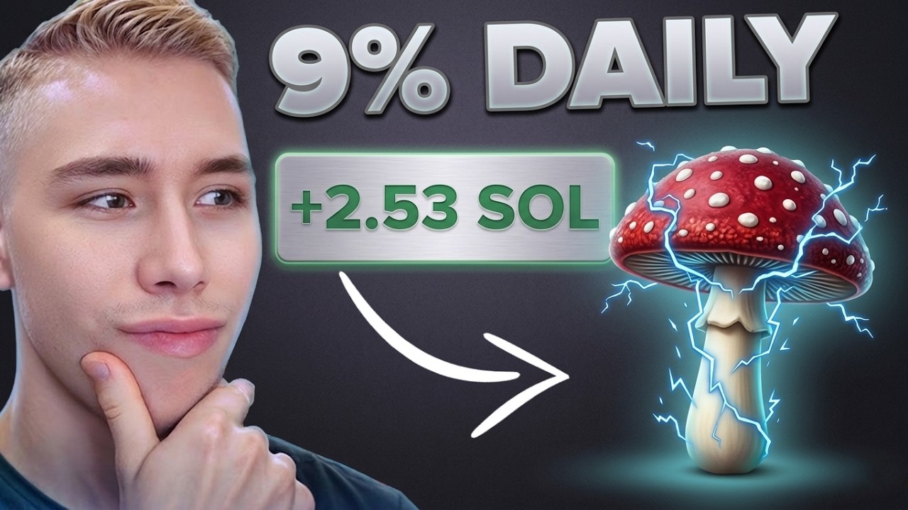 Ферма Solana Yield Farm зарабатывает 9% в день!