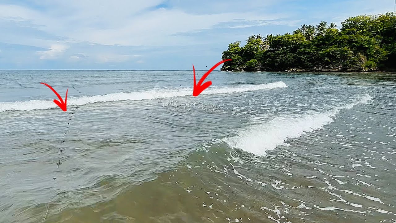 SIAPKAN KARUNG ‼️ MENJARING IKAN DI MUARA KECIL INI ADA BANYAK JENIS IKAN😱