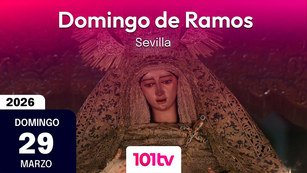 🔴 Domingo de Ramos en Sevilla | Semana Santa 2026 | Parte 2
