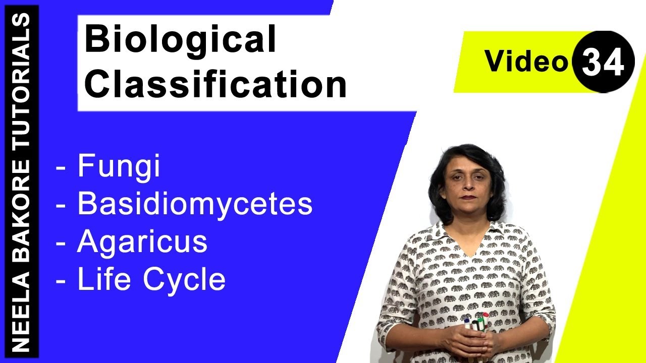 Biological Classification | NEET | Fungi - Basidiomycetes - Agaricus - Life Cycle | Neela Bakore