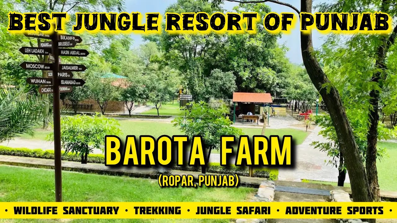 Best jungle resort of Punjab BAROTA FARM |Hoshiarpur tourist places #angelfarm #punjabforest #ropar