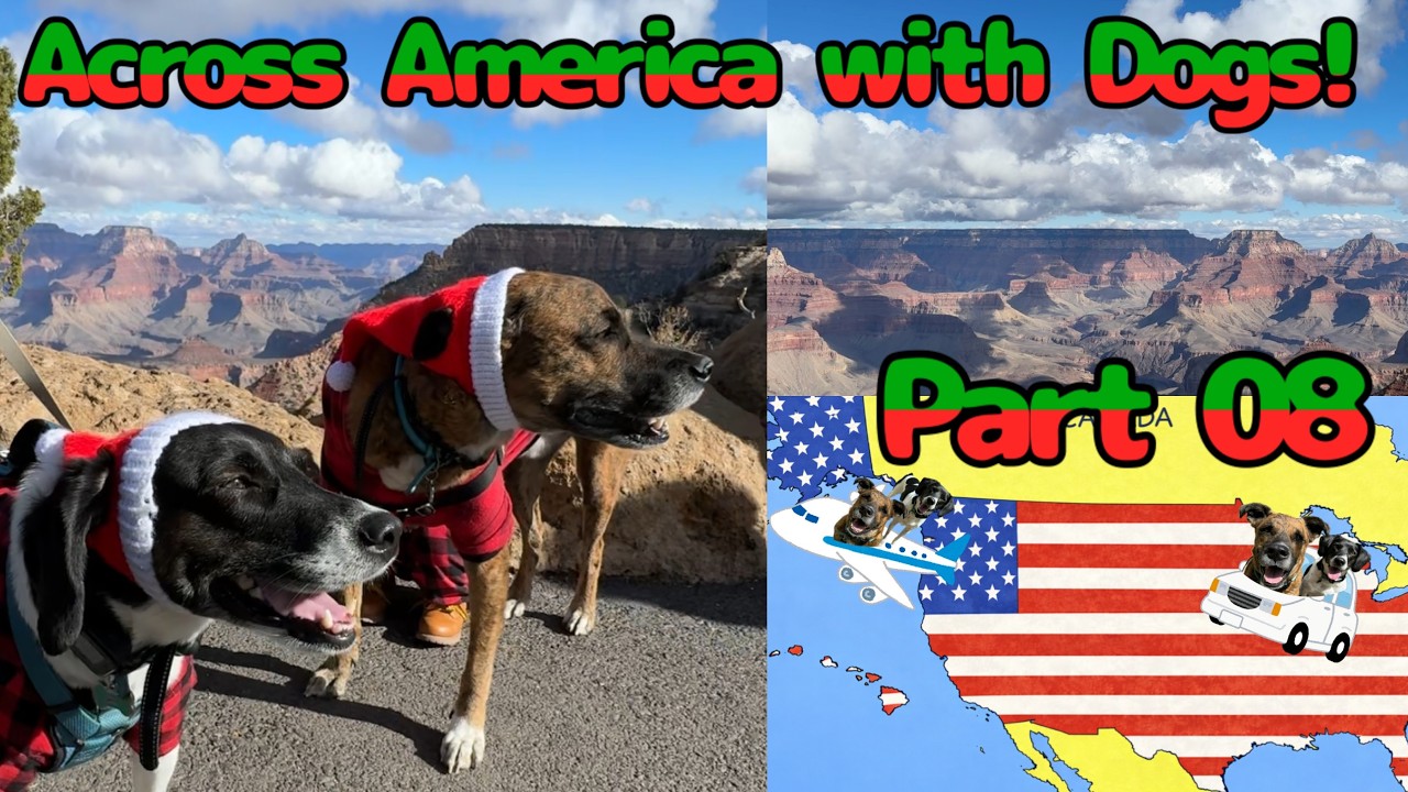 🐶Across America with Dogs🐶🇺🇸Part 08 |  Grand Canyon | Arizona | Christmas 2026 | Vlog
