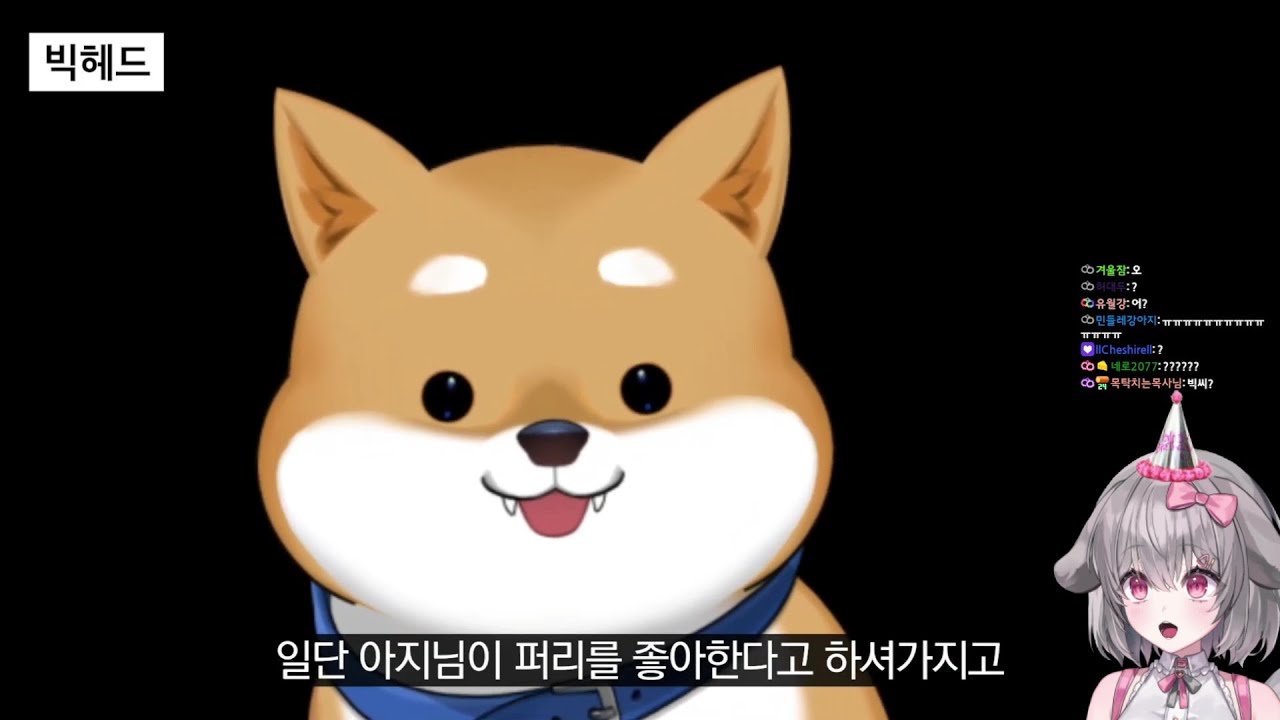 2025년 양아지 생일 축하 영상